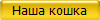 Наша кошка