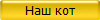 Наш кот